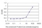 PSMB6 Antibody (monoclonal) (M01)